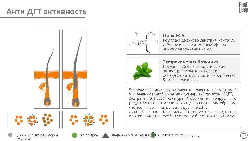 Анти ДГТ активность Цинк PCA Комплекс двойного действия: контроль себореи и антимикробный эффект цинка