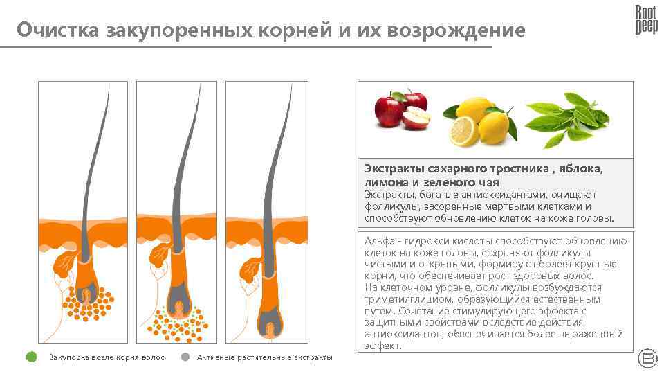 Очистка закупоренных корней и их возрождение Экстракты сахарного тростника , яблока, лимона и зеленого