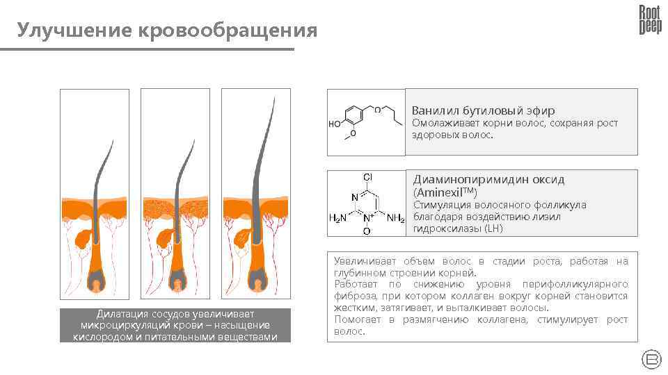 Улучшение кровообращения Ванилил бутиловый эфир Омолаживает корни волос, сохраняя рост здоровых волос. Диаминопиримидин оксид