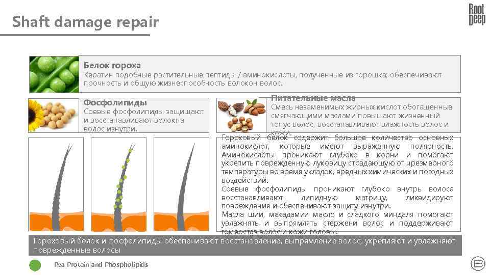 Shaft damage repair Белок гороха Кератин подобные растительные пептиды / аминокислоты, полученные из горошка;