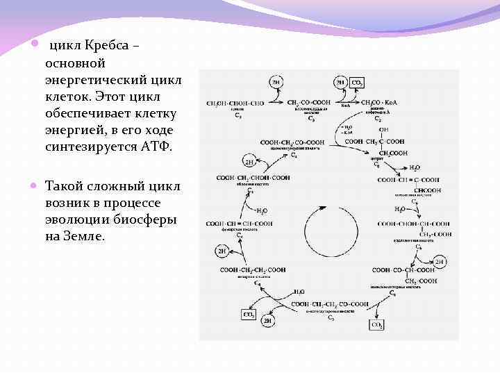 План эволюция биосферы 9 класс