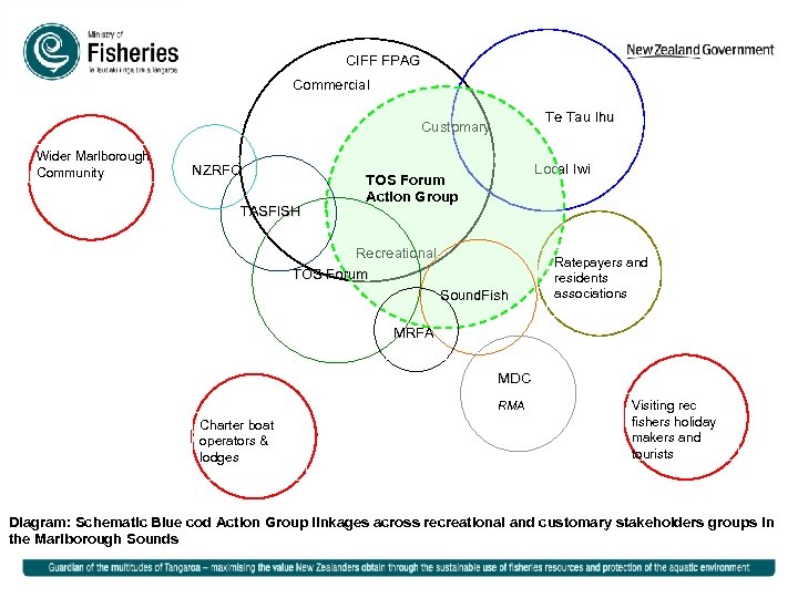 CIFF FPAG Commercial Te Tau Ihu Customary Wider Marlborough Community NZRFC TASFISH Local Iwi