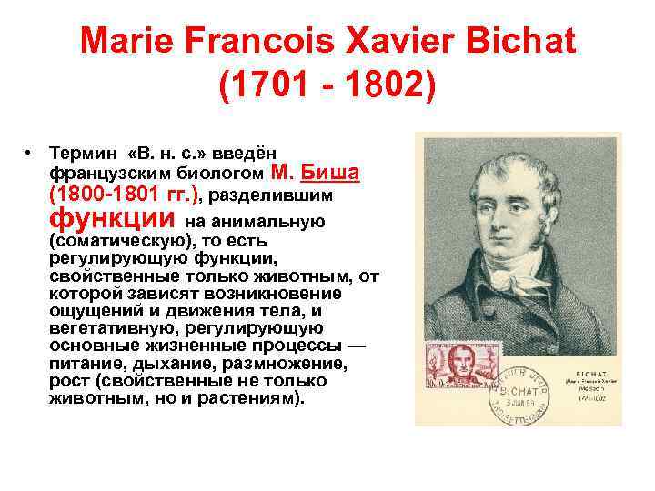 Marie Francois Xavier Bichat (1701 - 1802) • Термин «В. н. с. » введён