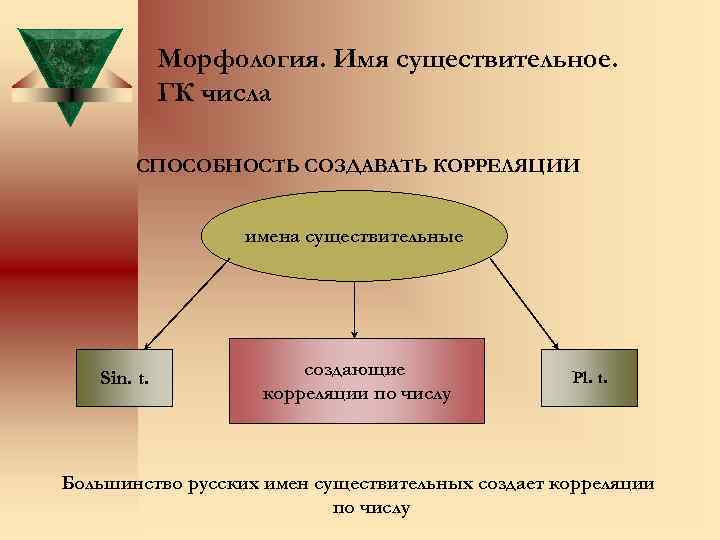 Морфология. Имя существительное. ГК числа СПОСОБНОСТЬ СОЗДАВАТЬ КОРРЕЛЯЦИИ имена существительные Sin. t. создающие корреляции