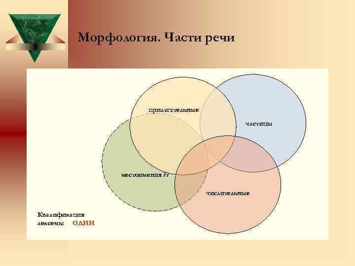 Морфология. Части речи прилагательные частицы местоимения ? ? числительные Квалификация лексемы ОДИН 