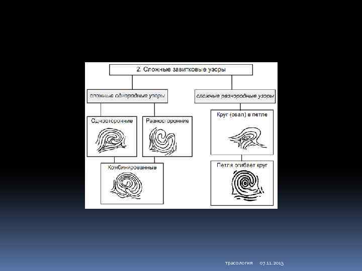 трасология 07. 11. 2013 