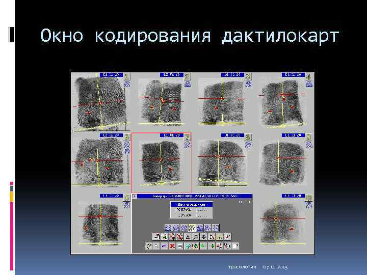 Окно кодирования дактилокарт трасология 07. 11. 2013 