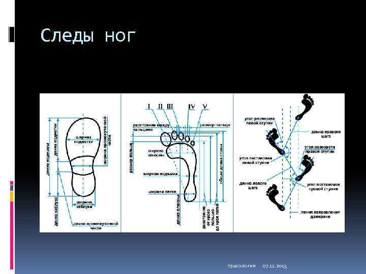 Части следа обуви