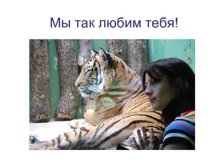 Мы так любим тебя! 