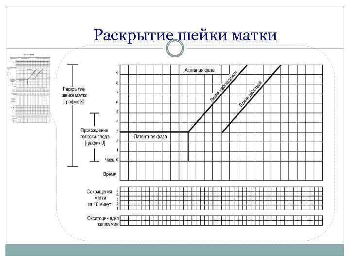 Раскрытие шейки матки 