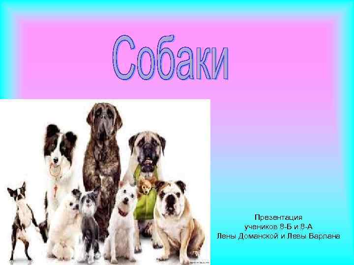 Презентация учеников 8 -Б и 8 -А Лены Доманской и Левы Варлана 
