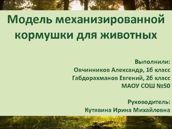 Модель механизированной кормушки для животных Выполнили: Овчинников Александр, 1 б класс Габдорахманов Евгений, 2