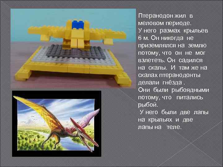 Птеранодон жил в меловом периоде. У него размах крыльев 6 м. Он никогда не