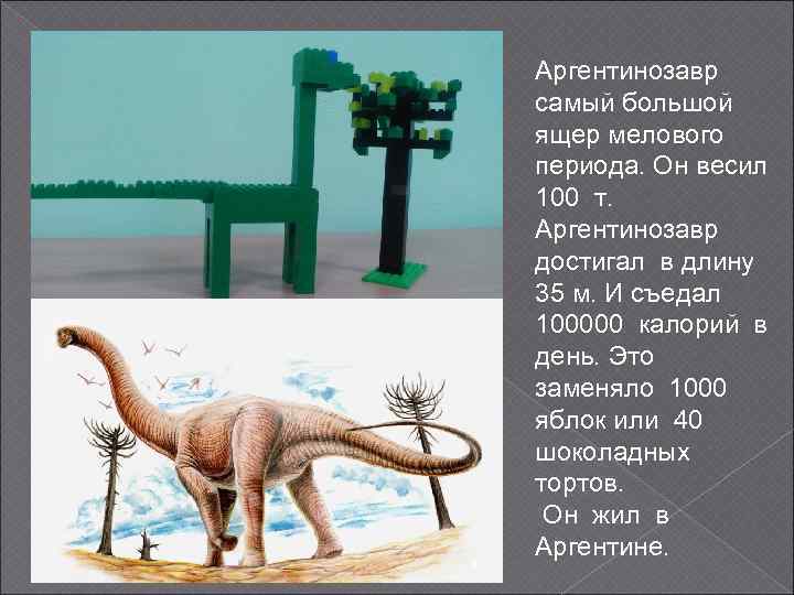 Аргентинозавр самый большой ящер мелового периода. Он весил 100 т. Аргентинозавр достигал в длину