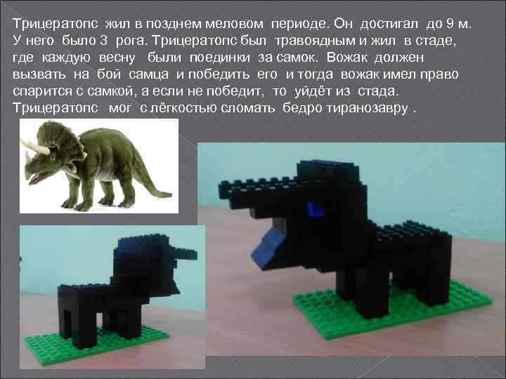 Трицератопс жил в позднем меловом периоде. Он достигал до 9 м. У него было