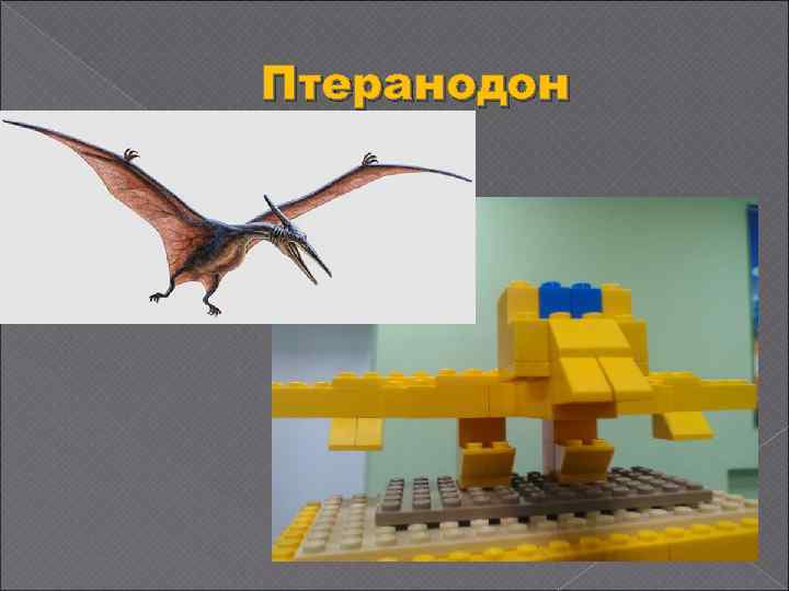 Птеранодон 