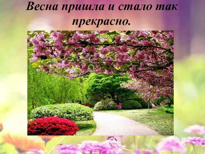 Весна пришла и стало так прекрасно. 