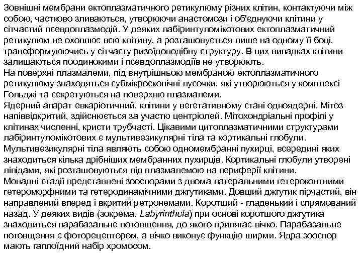 Зовнішні мембрани ектоплазматичного ретикулюму різних клітин, контактуючи між собою, частково зливаються, утворюючи анастомози і