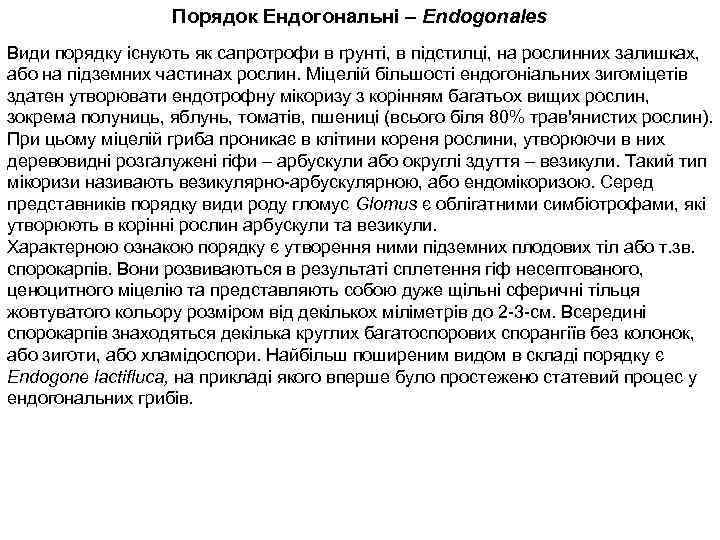 Порядок Ендогональні – Endogonales Види порядку існують як сапротрофи в грунті, в підстилці, на