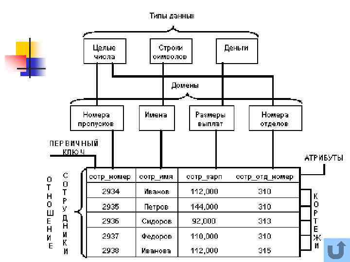 Определенных данных. Описание наборов данных. Форма описания набора данных. Строение Type c.