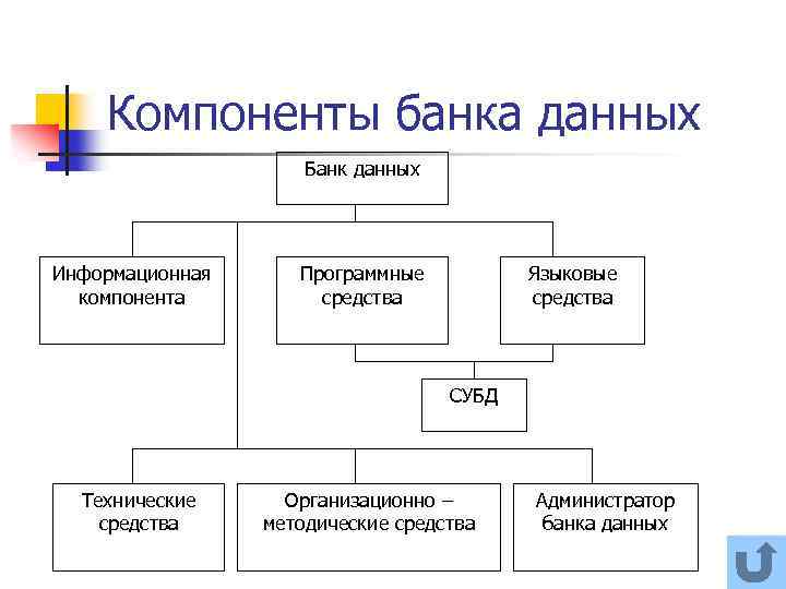 Банк данных ру. Компоненты банка данных. Перечислите компоненты банка данных. Компоненты информационной базы банка данных. Технические средства банка данных.