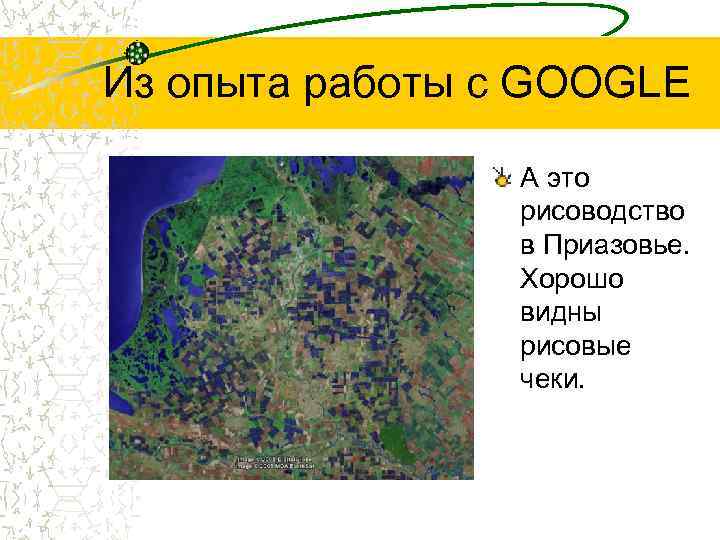 Из опыта работы с GOOGLE А это рисоводство в Приазовье. Хорошо видны рисовые чеки.