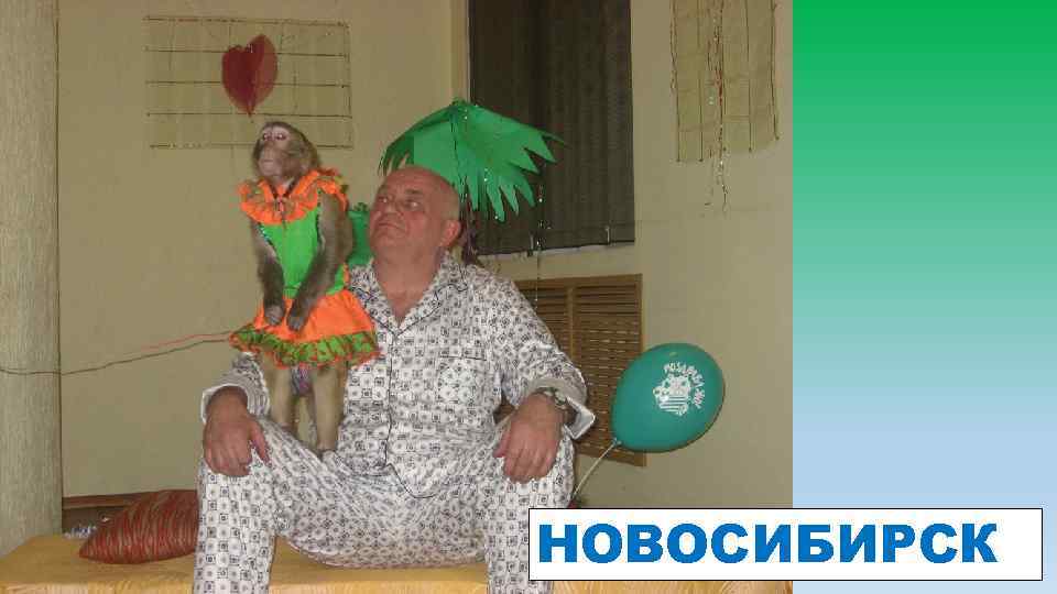 НОВОСИБИРСК 