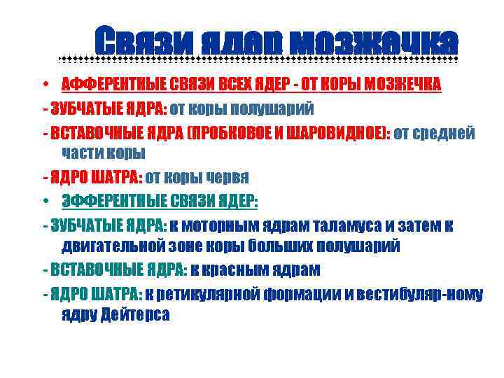Связи ядер мозжечка • АФФЕРЕНТНЫЕ СВЯЗИ ВСЕХ ЯДЕР - ОТ КОРЫ МОЗЖЕЧКА - ЗУБЧАТЫЕ