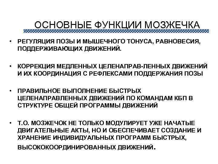 Функции мозжечка