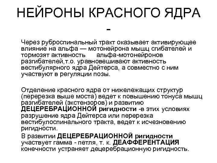 НЕЙРОНЫ КРАСНОГО ЯДРА Через руброспинальный тракт оказывает активирующее влияние на альфа — мотонейрона мышц