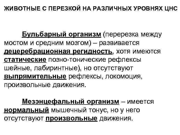 Уровни нервной системы