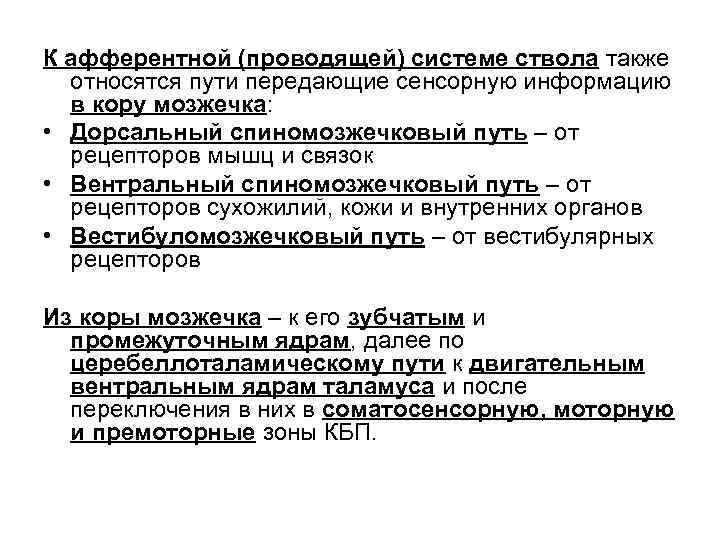 К афферентной (проводящей) системе ствола также относятся пути передающие сенсорную информацию в кору мозжечка: