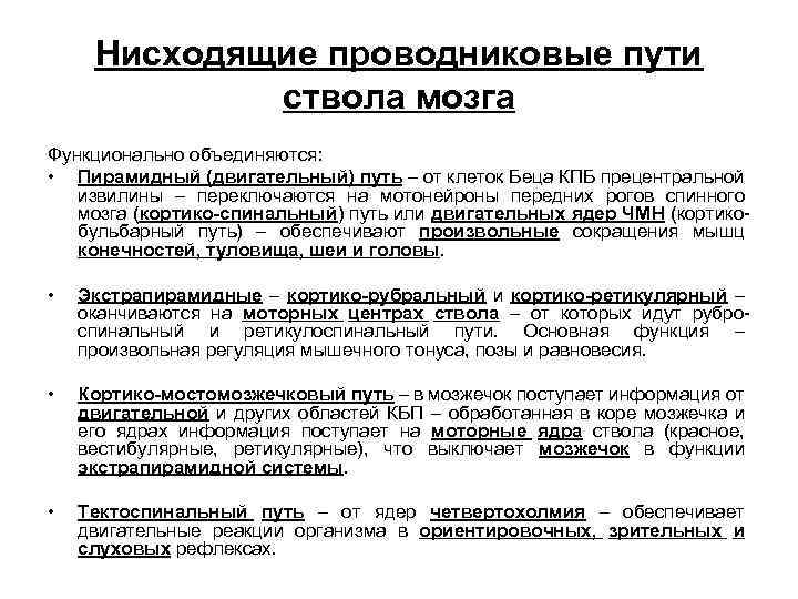 Нисходящие проводниковые пути ствола мозга Функционально объединяются: • Пирамидный (двигательный) путь – от клеток