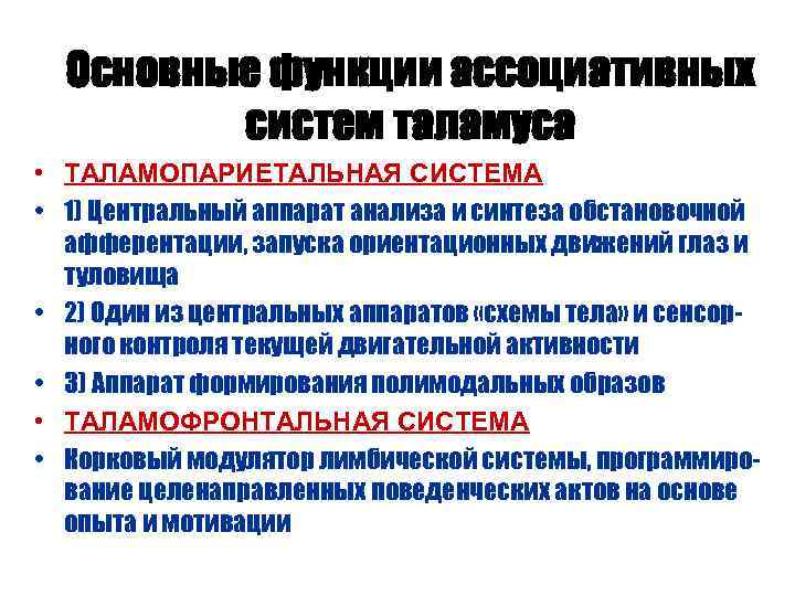 Основные функции ассоциативных систем таламуса • ТАЛАМОПАРИЕТАЛЬНАЯ СИСТЕМА • 1) Центральный аппарат анализа и