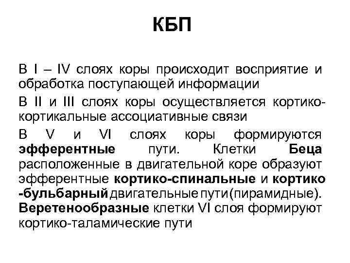 КБП В I – IV слоях коры происходит восприятие и обработка поступающей информации В