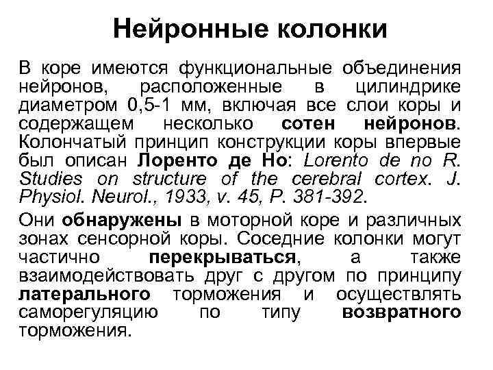 Нейронные колонки В коре имеются функциональные объединения нейронов, расположенные в цилиндрике диаметром 0, 5