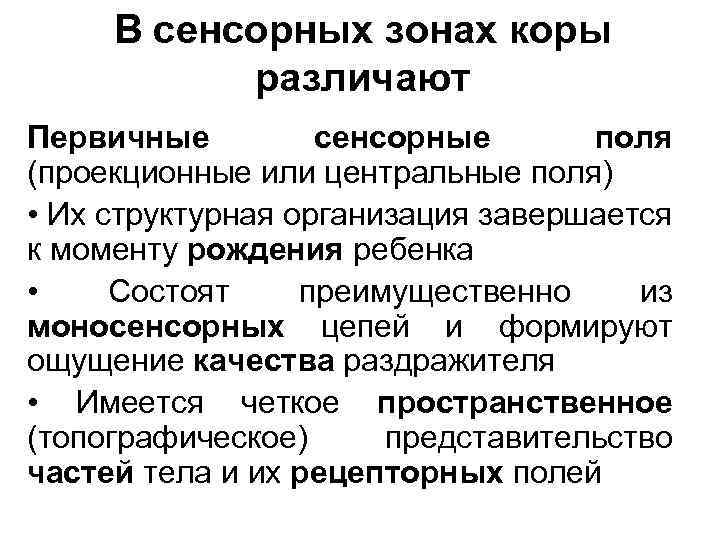 В сенсорных зонах коры различают Первичные сенсорные поля (проекционные или центральные поля) • Их