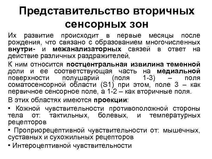 Представительство вторичных сенсорных зон Их развитие происходит в первые месяцы после рождения, что связано