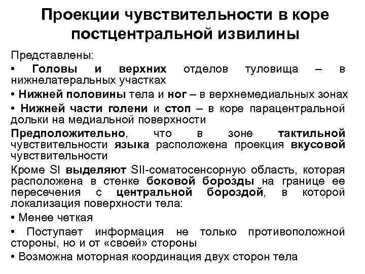 Проекции чувствительности в коре постцентральной извилины Представлены: • Головы и верхних отделов туловища –