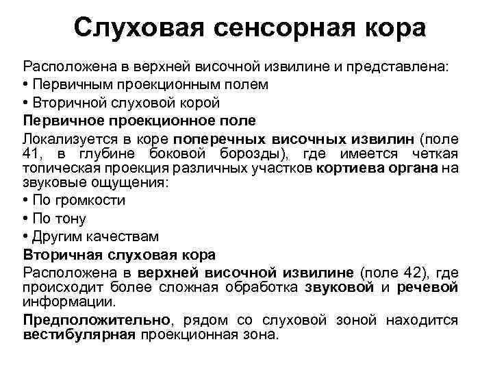Слуховая сенсорная кора Расположена в верхней височной извилине и представлена: • Первичным проекционным полем