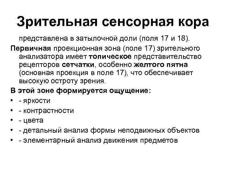 Зрительная сенсорная кора представлена в затылочной доли (поля 17 и 18). Первичная проекционная зона