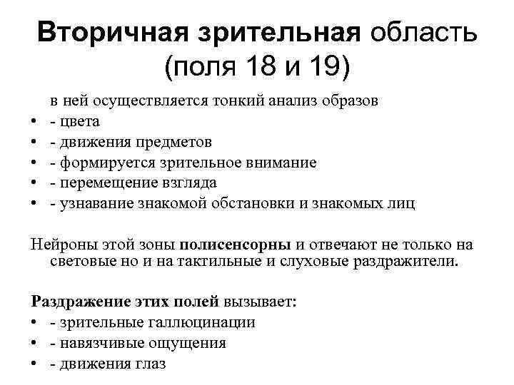 Вторичная зрительная область (поля 18 и 19) • • • в ней осуществляется тонкий