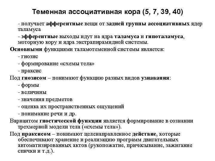 Теменная ассоциативная кора (5, 7, 39, 40) - получает афферентные вещи от задней группы