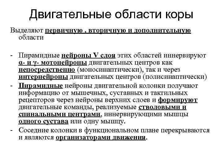 Двигательные области коры Выделяют первичную , вторичную и дополнительную области - Пирамидные нейроны V