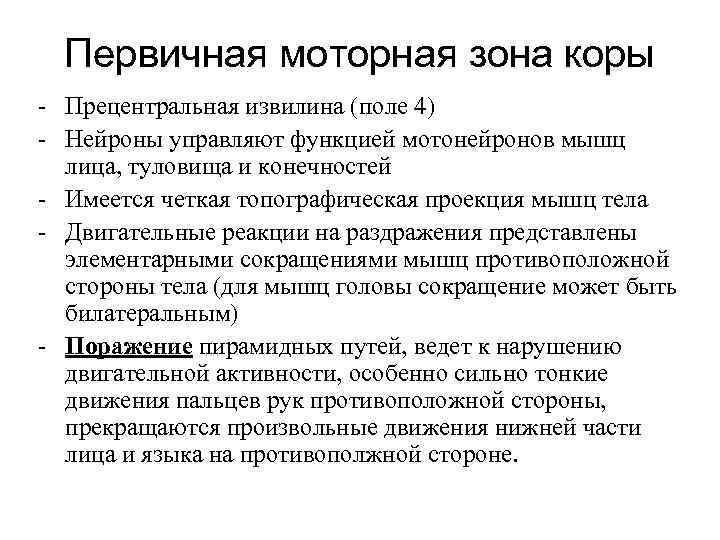 Первичная моторная зона коры - Прецентральная извилина (поле 4) - Нейроны управляют функцией мотонейронов
