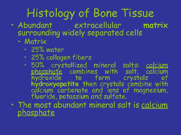 Histology of Bone Tissue • Abundant extracellular matrix surrounding widely separated cells – Matrix