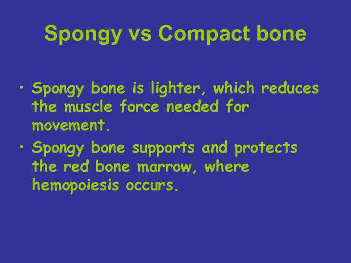 Spongy vs Compact bone • Spongy bone is lighter, which reduces the muscle force