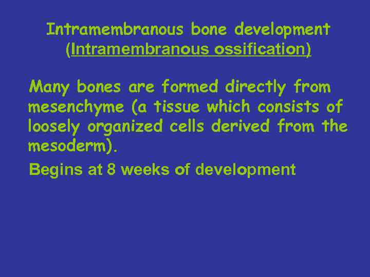 Intramembranous bone development (Intramembranous ossification) Many bones are formed directly from mesenchyme (a tissue