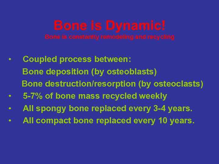 Bone is Dynamic! Bone is constantly remodeling and recycling • • Coupled process between: