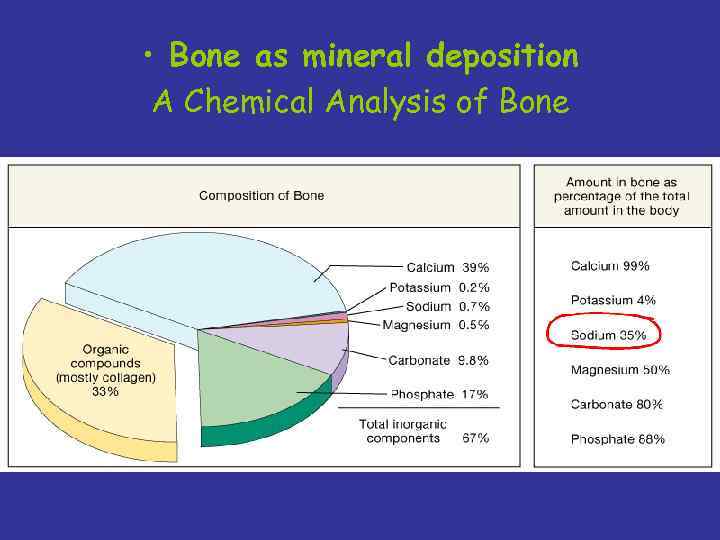  • Bone as mineral deposition A Chemical Analysis of Bone 
